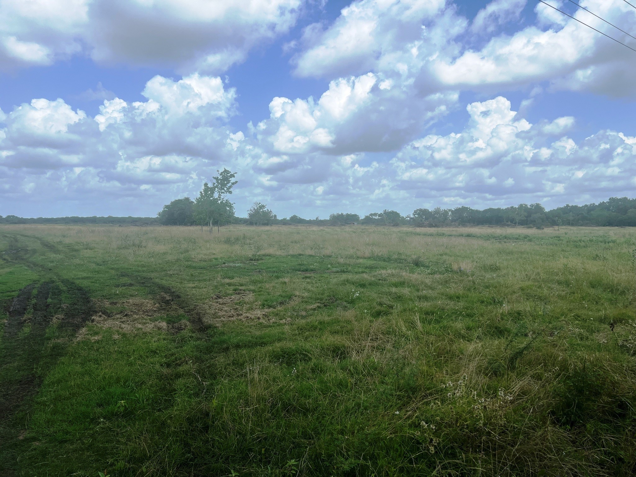 8925 Kerr Road Hempstead, TX 77445 - Photo 4 of 11