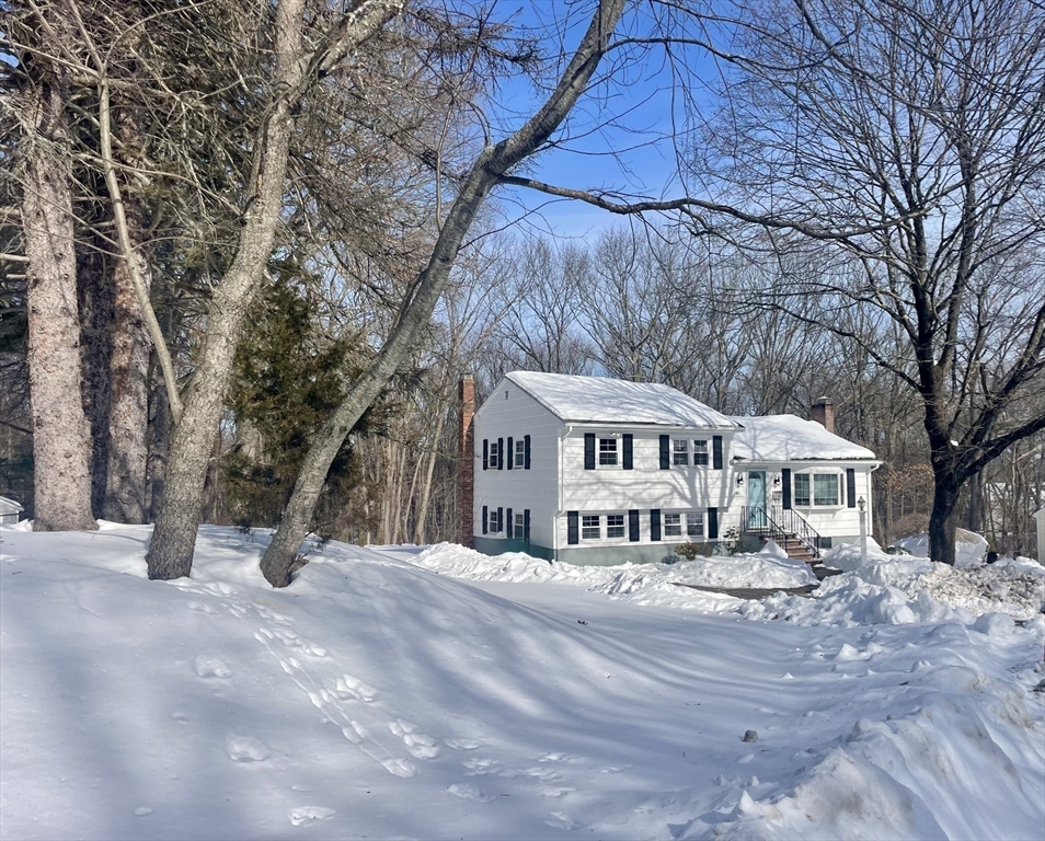 283 Ridgewood Drive Norwood, MA 02062 - Photo 34 of 39