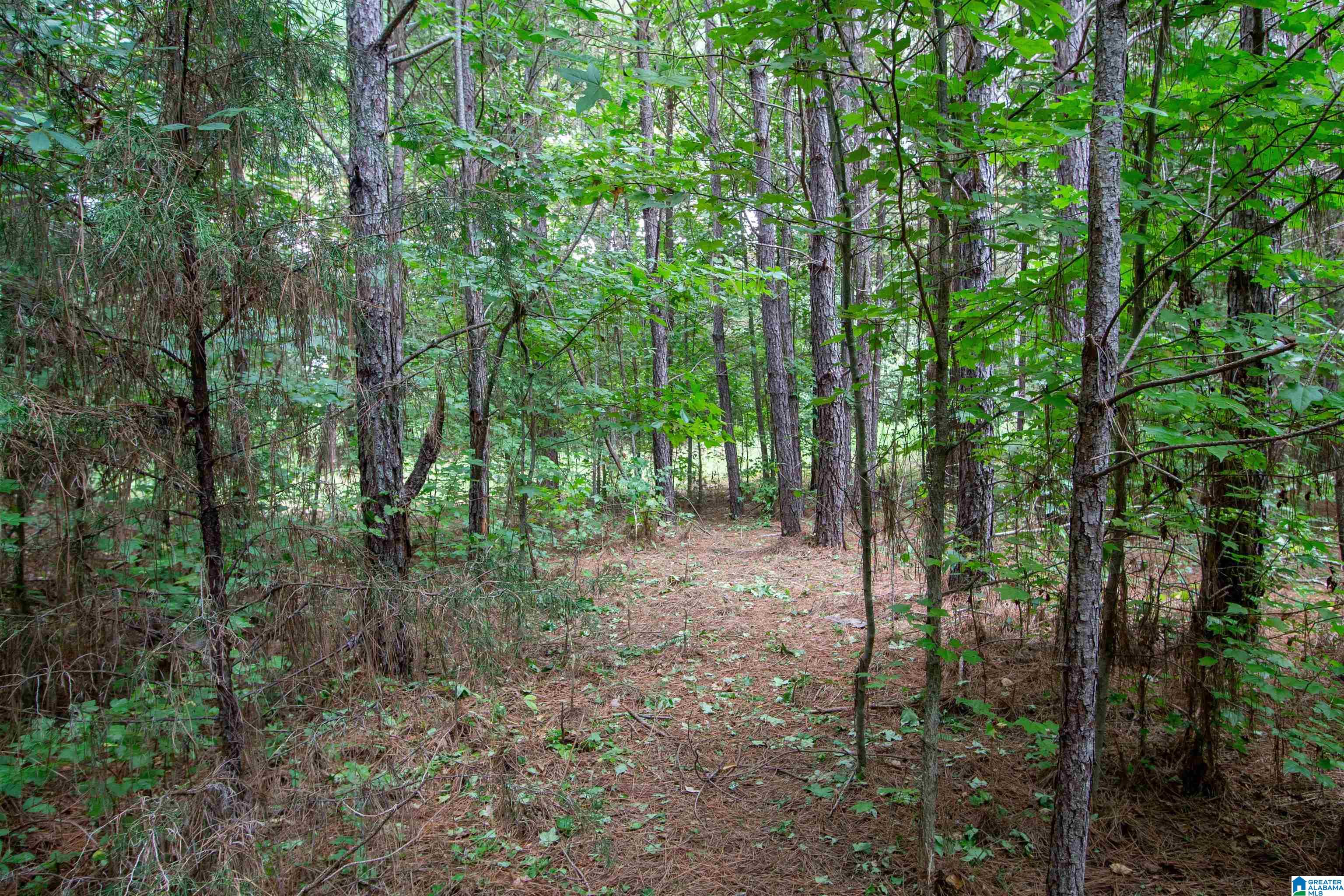 97 Joiner Road Hayden, AL 35079 - Photo 39 of 42