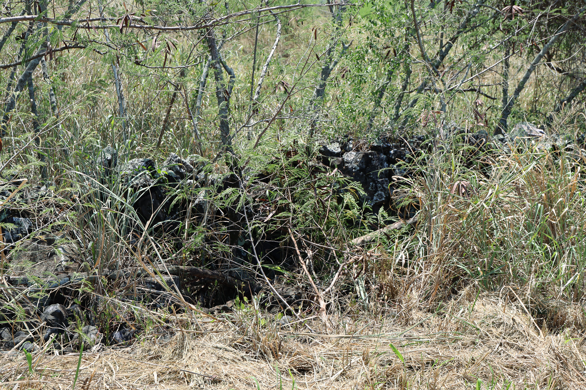 85-4471 Kapia Road Captain Cook, HI 96704 - Photo 19 of 30