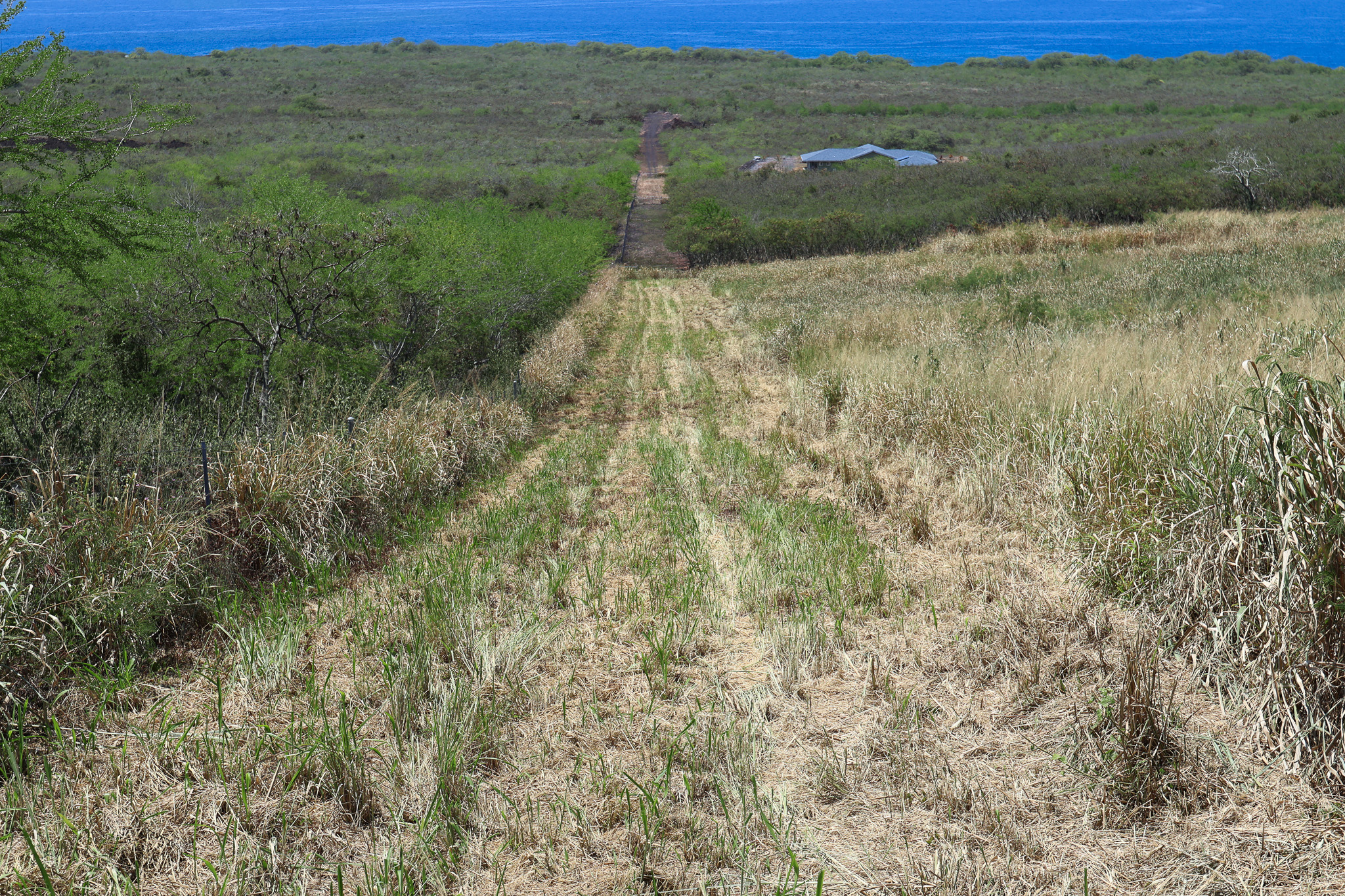 85-4471 Kapia Road Captain Cook, HI 96704 - Photo 23 of 30 a view of a lake with a yard