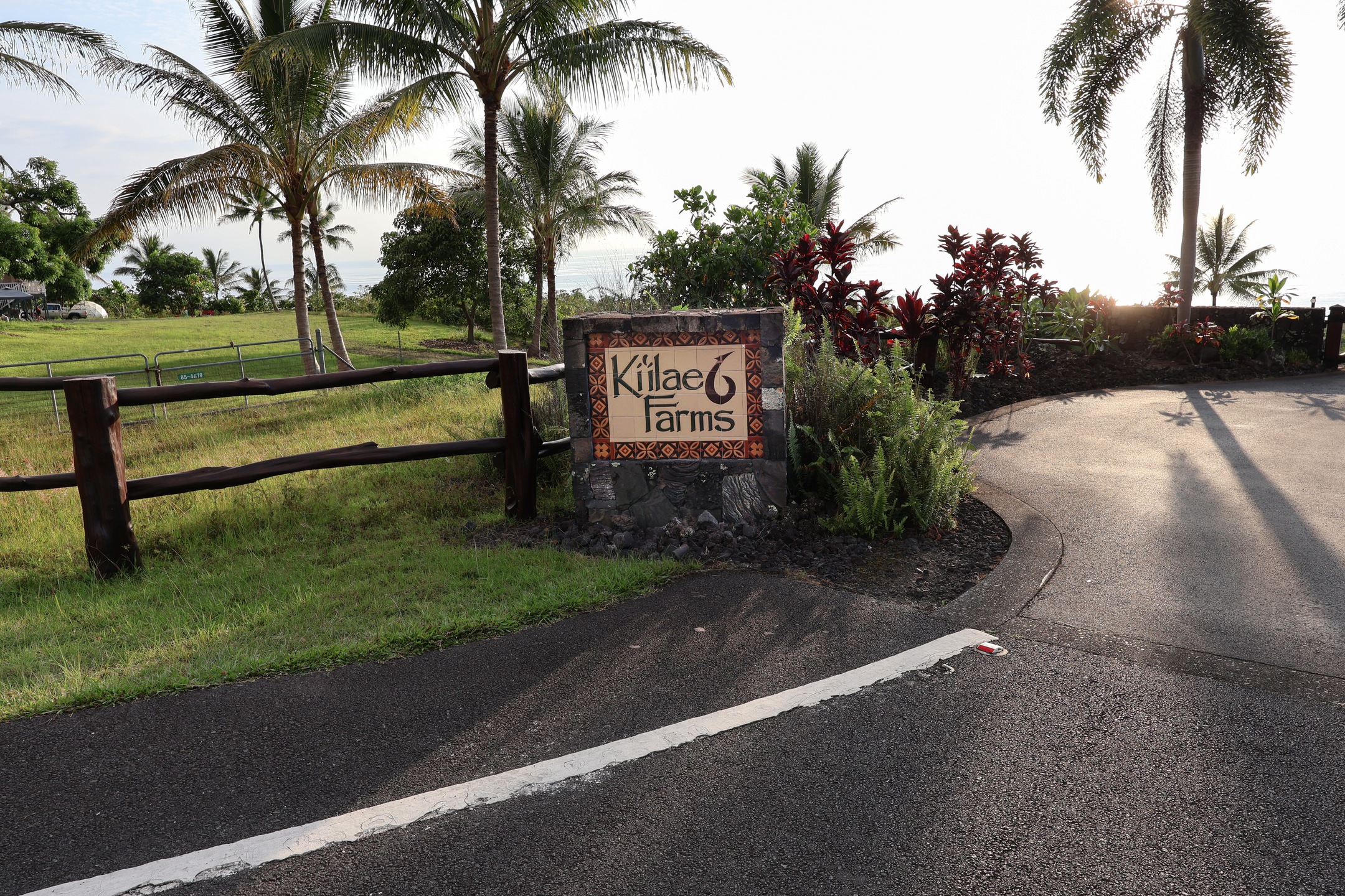 85-4471 Kapia Road Captain Cook, HI 96704 - Photo 30 of 30 a view of a street with a yard and palm trees