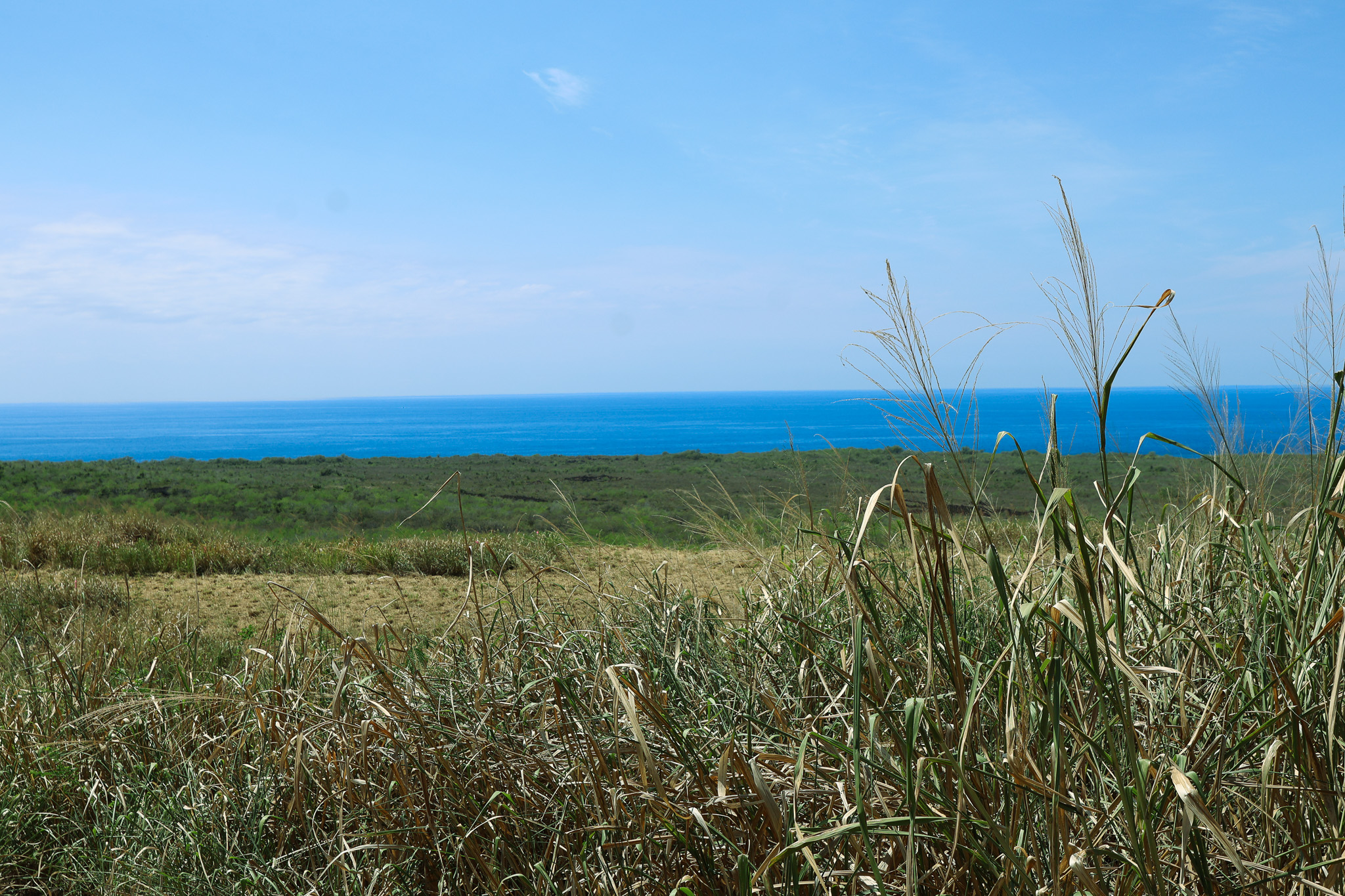 85-4471 Kapia Road Captain Cook, HI 96704 - Photo 8 of 30