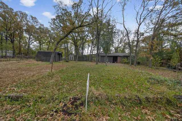 a view of a house with a yard and garage