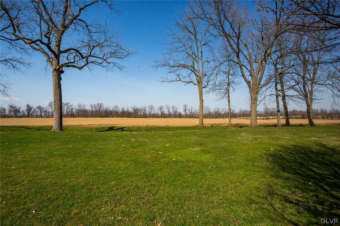 433 Little Creek Drive Nazareth, PA 18064 - Photo 41 of 44 a view of yard with an tree