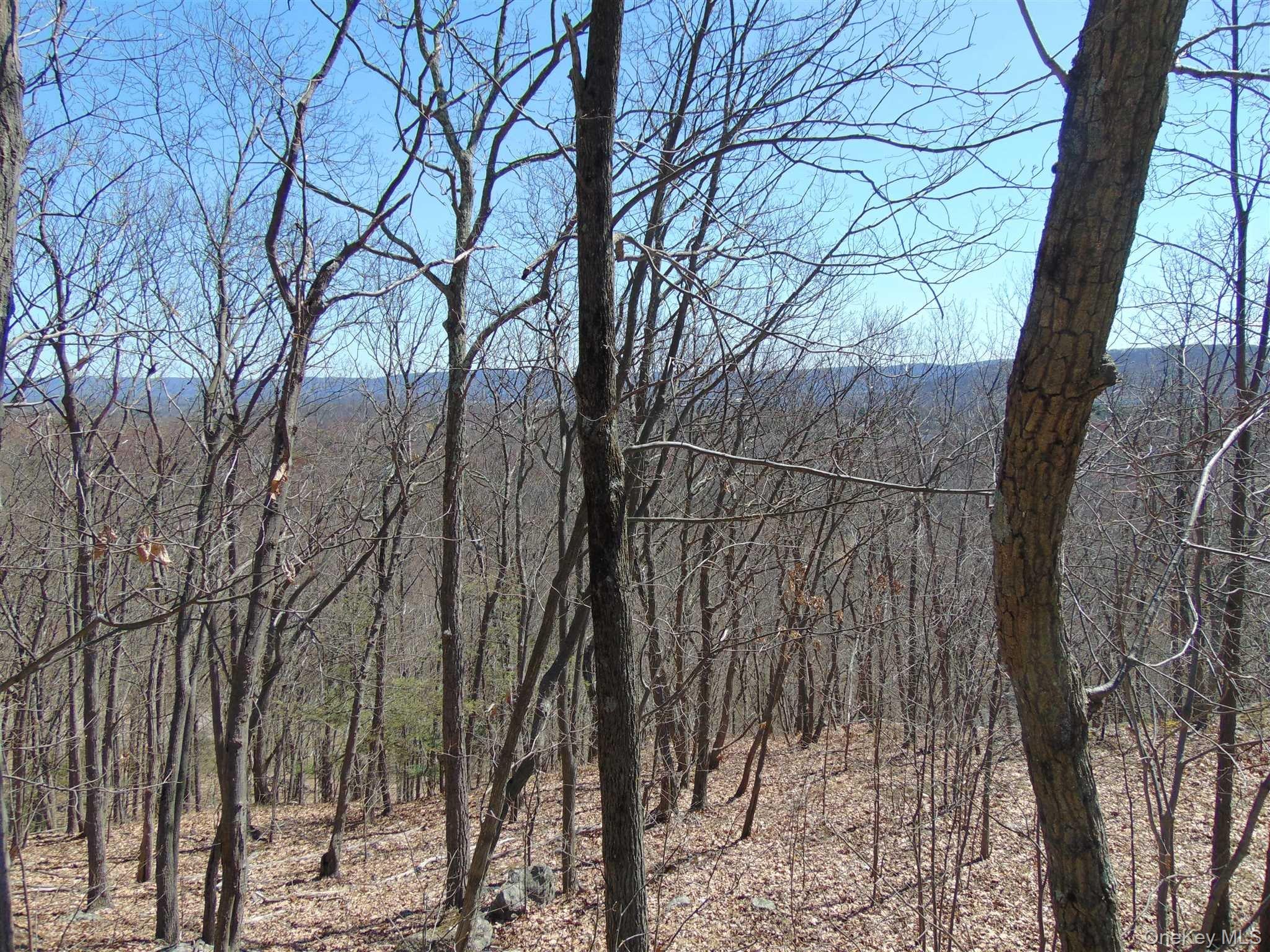 382 Cedar Hill Road Fishkill, NY 12524 - Photo 10 of 20
