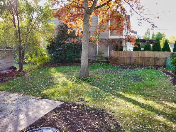 a view of a back yard