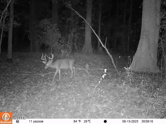 $7,201,000 | 5302 Bend Road, Vaughan, MS 39179