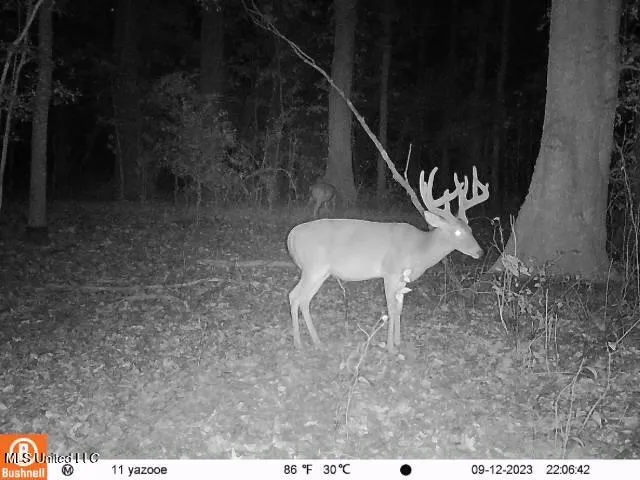 $7,201,000 | 5302 Bend Road, Vaughan, MS 39179