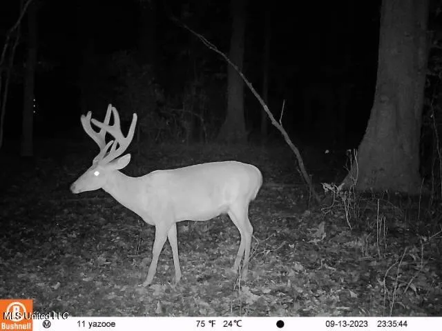 $7,201,000 | 5302 Bend Road, Vaughan, MS 39179