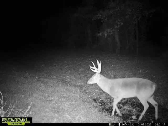 $7,201,000 | 5302 Bend Road, Vaughan, MS 39179