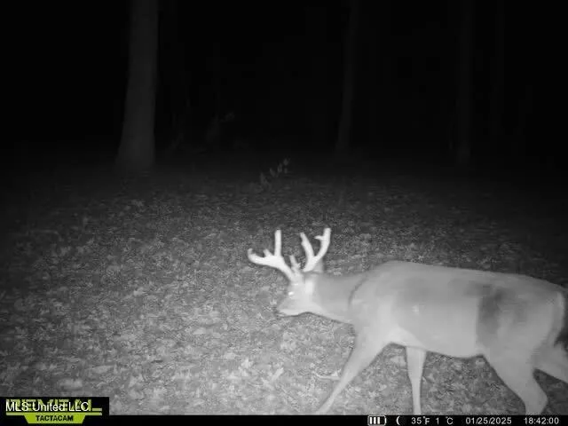 $7,201,000 | 5302 Bend Road, Vaughan, MS 39179