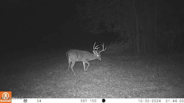 $7,201,000 | 5302 Bend Road, Vaughan, MS 39179