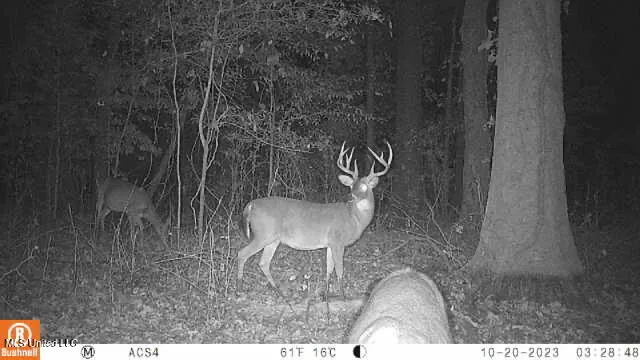 $7,201,000 | 5302 Bend Road, Vaughan, MS 39179