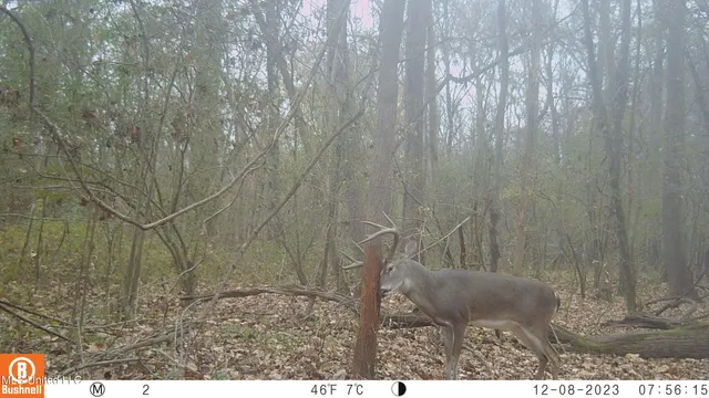 $7,201,000 | 5302 Bend Road, Vaughan, MS 39179