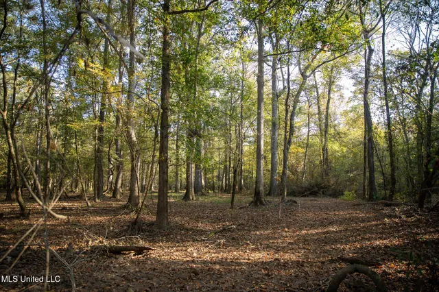 $7,201,000 | 5302 Bend Road, Vaughan, MS 39179