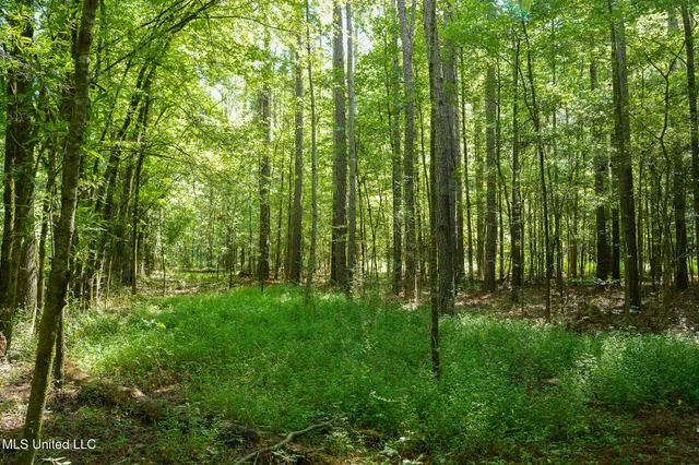 $7,201,000 | 5302 Bend Road, Vaughan, MS 39179