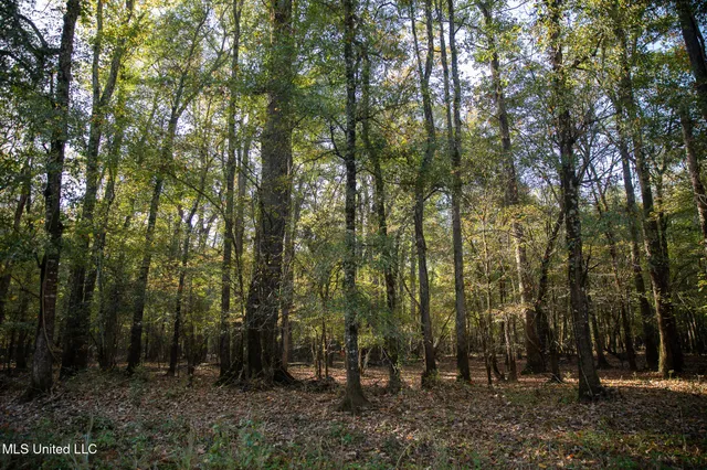 $7,201,000 | 5302 Bend Road, Vaughan, MS 39179