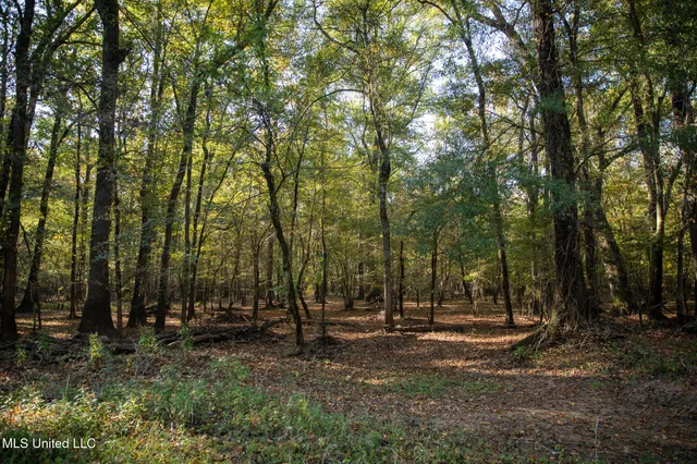 $7,201,000 | 5302 Bend Road, Vaughan, MS 39179