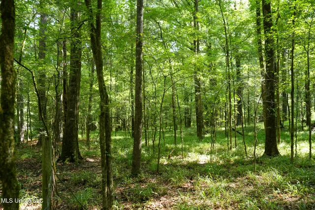 $7,201,000 | 5302 Bend Road, Vaughan, MS 39179