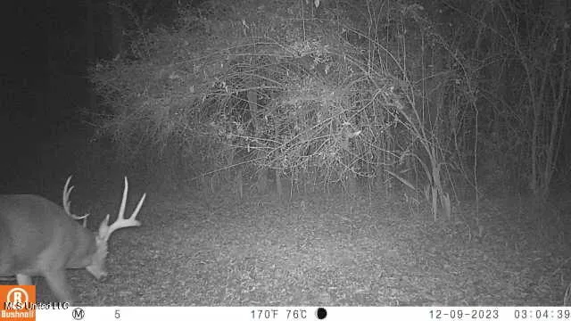 $7,201,000 | 5302 Bend Road, Vaughan, MS 39179