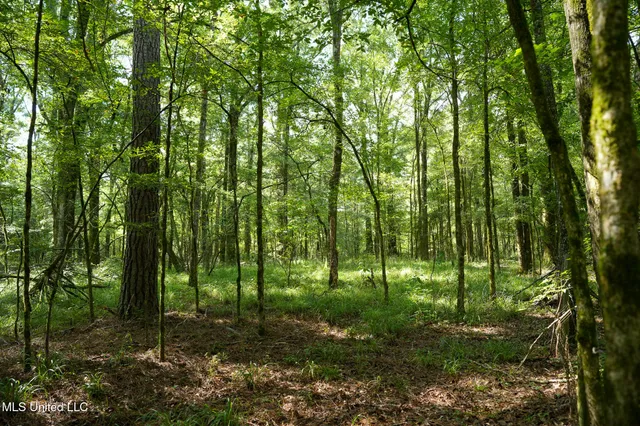 $7,201,000 | 5302 Bend Road, Vaughan, MS 39179