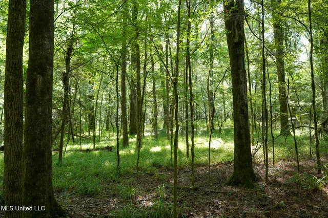 $7,201,000 | 5302 Bend Road, Vaughan, MS 39179