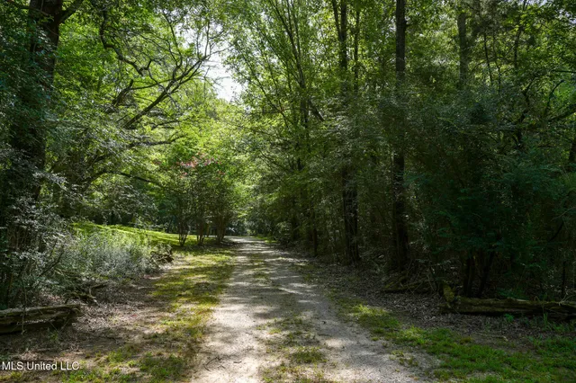 $7,201,000 | 5302 Bend Road, Vaughan, MS 39179