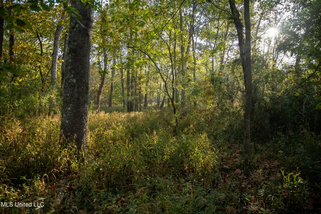 $7,201,000 | 5302 Bend Road, Vaughan, MS 39179