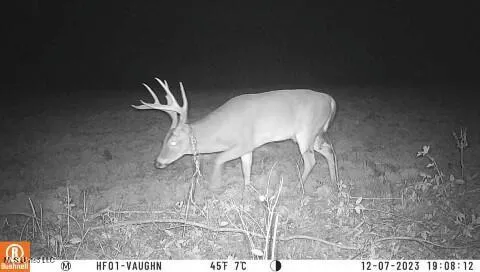 $7,201,000 | 5302 Bend Road, Vaughan, MS 39179