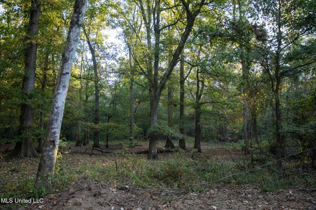 $7,201,000 | 5302 Bend Road, Vaughan, MS 39179