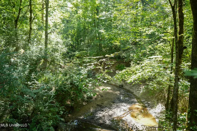 $7,201,000 | 5302 Bend Road, Vaughan, MS 39179