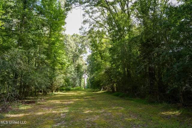 $7,201,000 | 5302 Bend Road, Vaughan, MS 39179