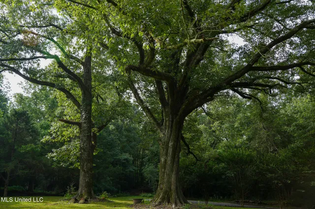 $7,201,000 | 5302 Bend Road, Vaughan, MS 39179