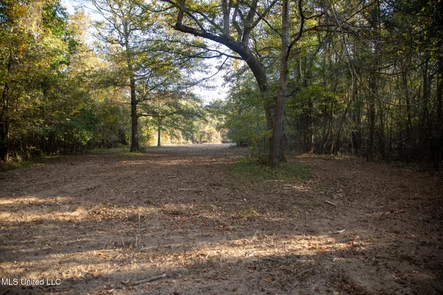 $7,201,000 | 5302 Bend Road, Vaughan, MS 39179