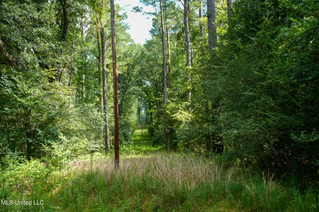 $7,201,000 | 5302 Bend Road, Vaughan, MS 39179