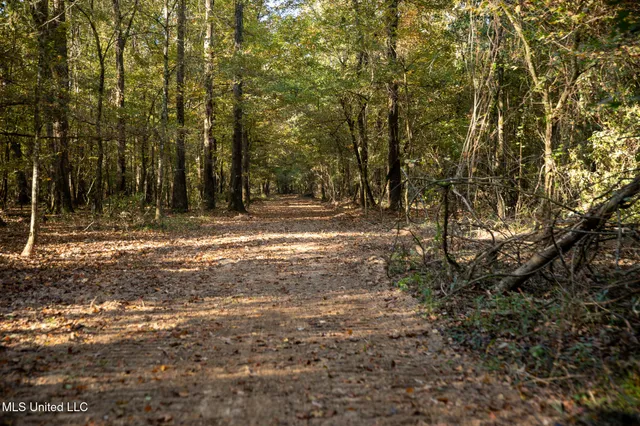 $7,201,000 | 5302 Bend Road, Vaughan, MS 39179