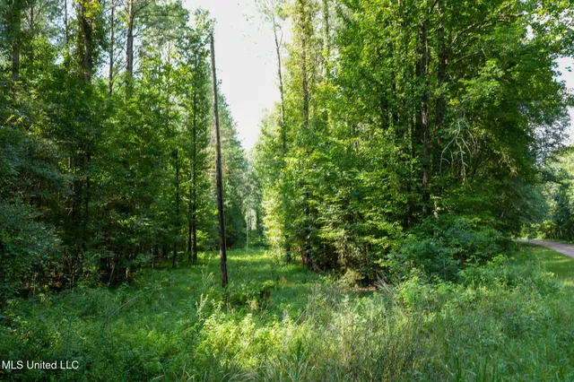 $7,201,000 | 5302 Bend Road, Vaughan, MS 39179