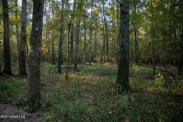 $7,201,000 | 5302 Bend Road, Vaughan, MS 39179