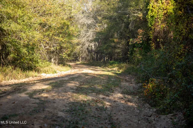 $7,201,000 | 5302 Bend Road, Vaughan, MS 39179