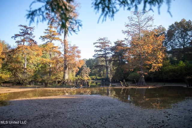 $7,201,000 | 5302 Bend Road, Vaughan, MS 39179