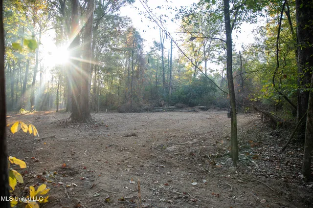 $7,201,000 | 5302 Bend Road, Vaughan, MS 39179