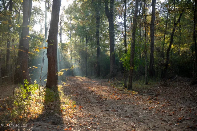 $7,201,000 | 5302 Bend Road, Vaughan, MS 39179