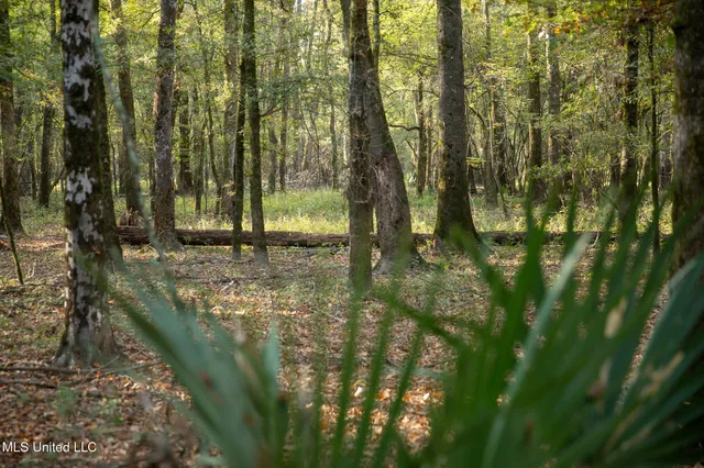 $7,201,000 | 5302 Bend Road, Vaughan, MS 39179