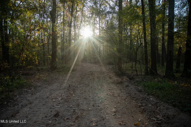 $7,201,000 | 5302 Bend Road, Vaughan, MS 39179