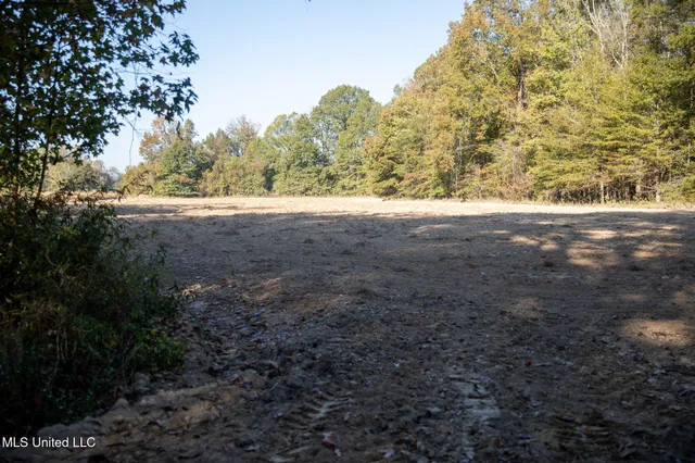 $7,201,000 | 5302 Bend Road, Vaughan, MS 39179