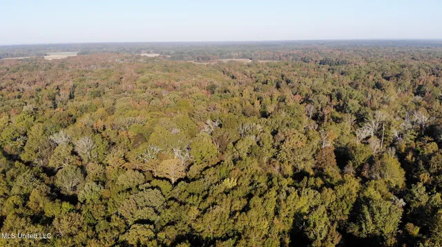 $7,201,000 | 5302 Bend Road, Vaughan, MS 39179