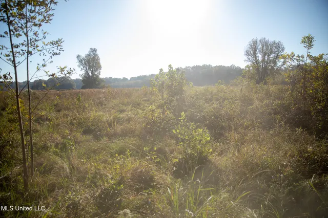 $7,201,000 | 5302 Bend Road, Vaughan, MS 39179