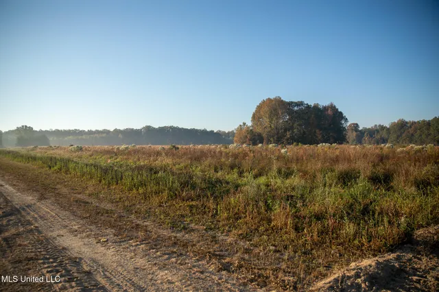 $7,201,000 | 5302 Bend Road, Vaughan, MS 39179