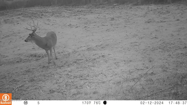 $7,201,000 | 5302 Bend Road, Vaughan, MS 39179